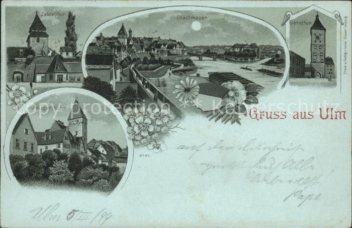 Ulm Donau Donau-Panorama Metzgerturm Zundeltor