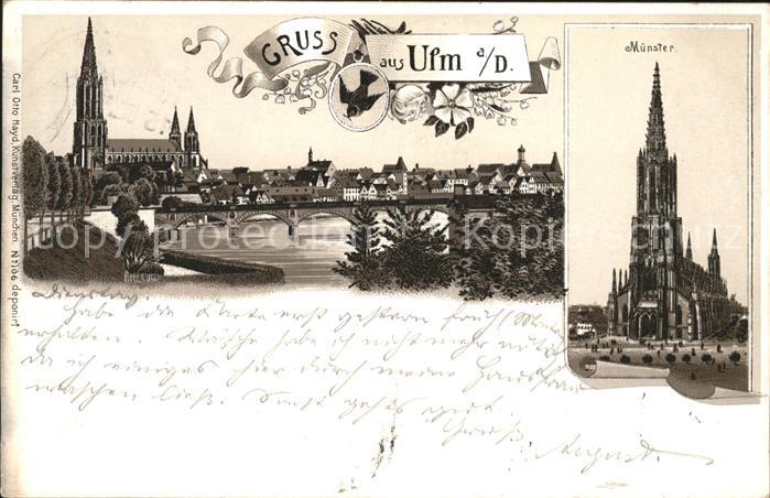 Ulm Donau Panorama Muenster