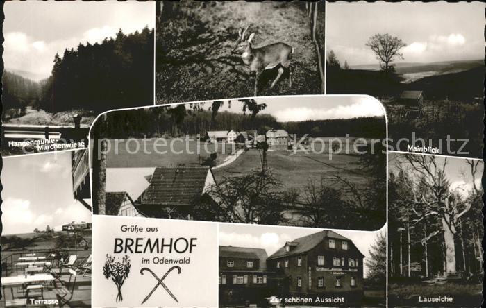 Bremhof Odenwald Gasthaus Pension Zur schönen Aussicht H