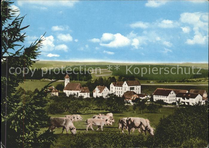 Heiligenbronn Waldachtal Panorama mit Kühen