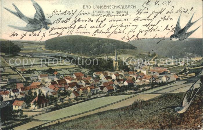 Bad Schwalbach Totalansicht Hoehberg Schwalben