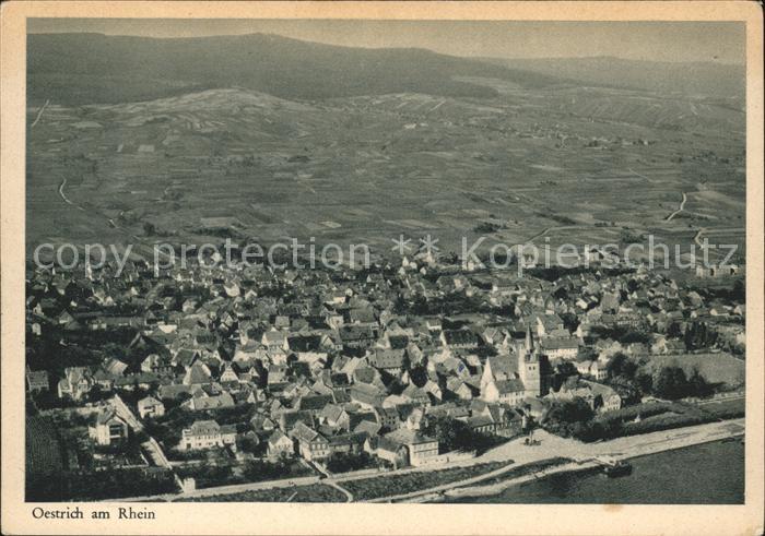Oestrich-Winkel Fliegeraufnahme