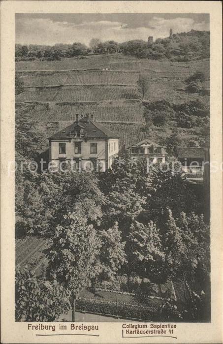 Freiburg Breisgau Collegium Sapientae
