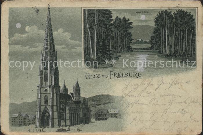 Freiburg Breisgau Münster Waldsee Mondscheinkarte