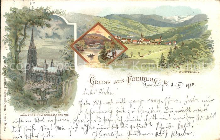 Freiburg Breisgau Guentersthal Schlossberg