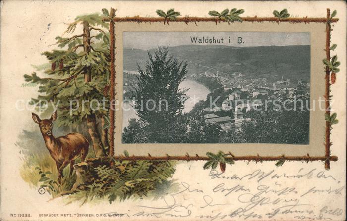 Waldshut Tiengen Rhein Reh Fliegeraufnahme