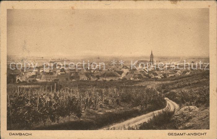 Dambach Haguenau Gesamtansicht