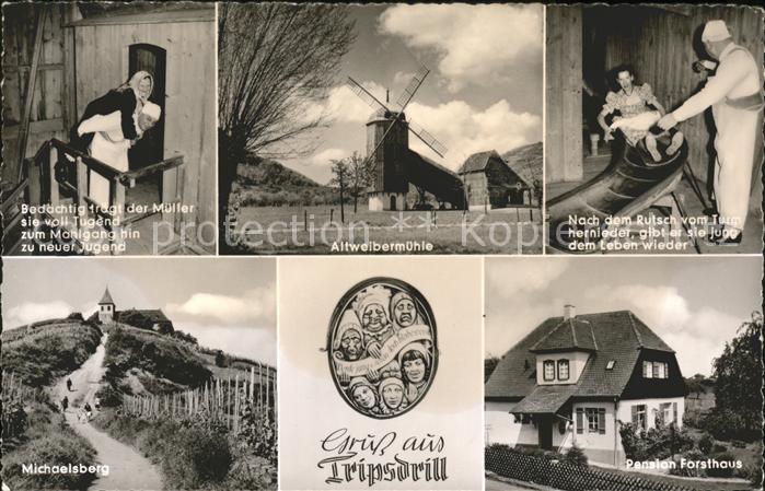 Tripsdrill Cleebronn Müller Altweibermühle Rutsche Michaelsb