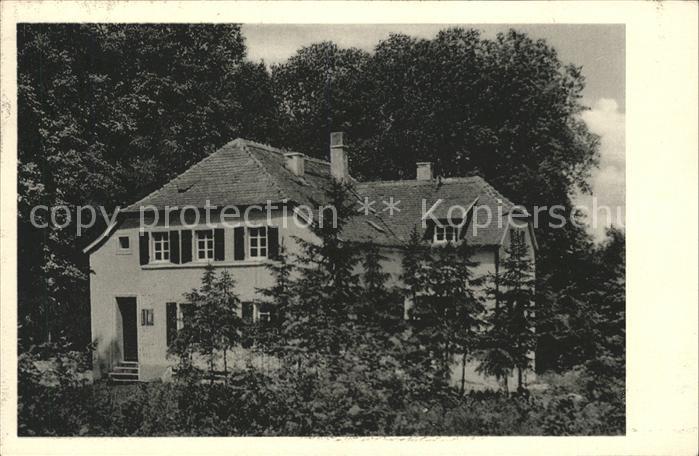 Dannenfels Waldhaus Donnersberg Gasthaus Pension