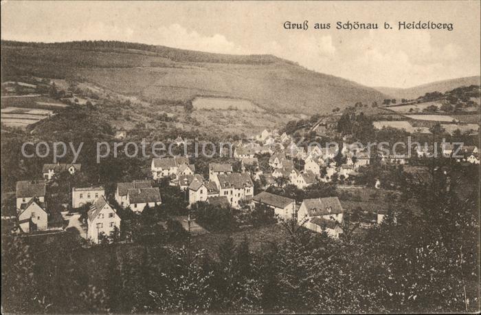 Schoenau Odenwald Panorama