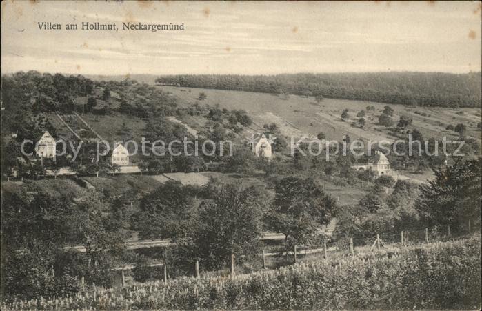 Neckargemuend Villen am Hollmut