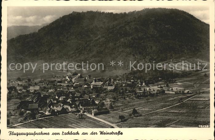 Eschbach Pfalz Fliegeraufnahme