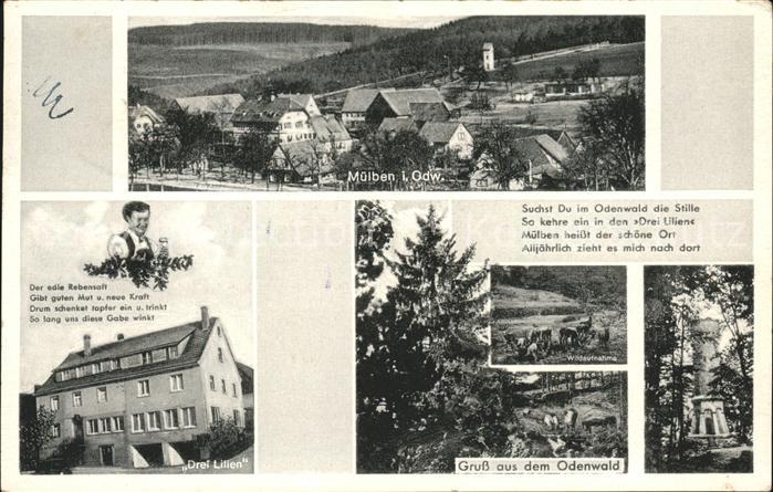 Muelben Gaststaette Pension Drei Lilien Wild Turm Gedicht