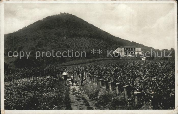 Rhodt Rietburg Burgruine Rietburg Villa Ludwigshoehe Feldweg