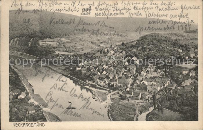 Neckargemuend Fliegeraufnahme