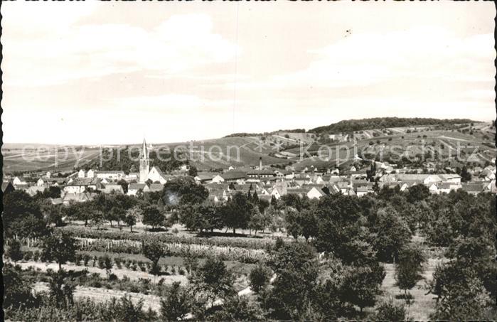 Rauenberg Kraichgau Gesamtansicht Weindorf
