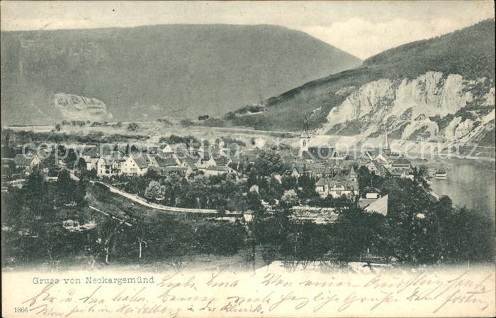 Neckargemuend Gesamtansicht