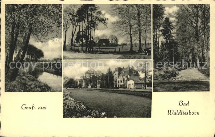 Bad Waldliesborn Kurheim Partie im Park