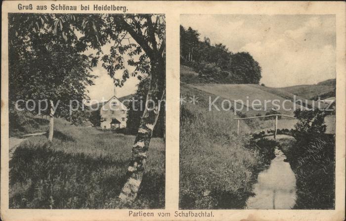 Schoenau Odenwald Partieen vom Schafbachtal Bach Brücke