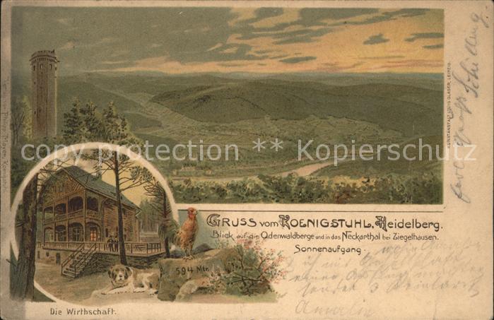 Koenigstuhl Heidelberg Panorama Odenwaldberge Neckartal Sonnen