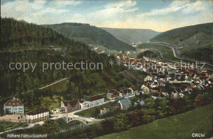 Calw Fliegeraufnahme Höhere Handelsschule