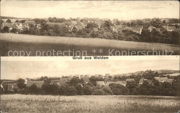Weiden Dornhan Panorama