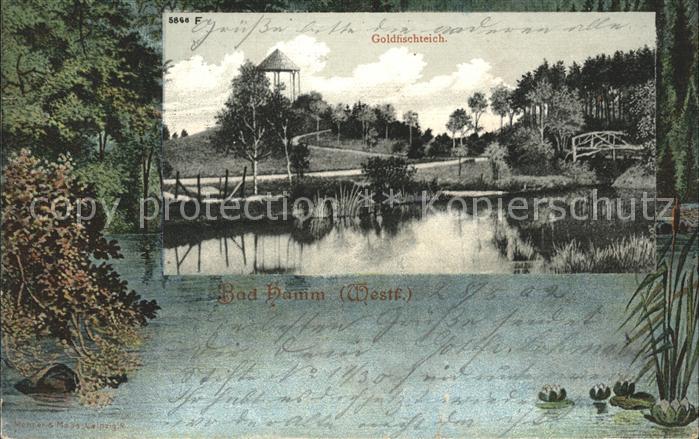 Bad Hamm Goldfischteich