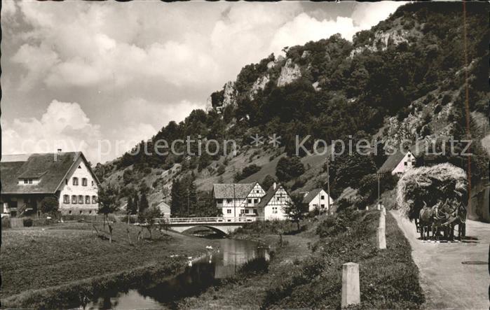 Gundelfingen Donau Gasthof Wittstaig