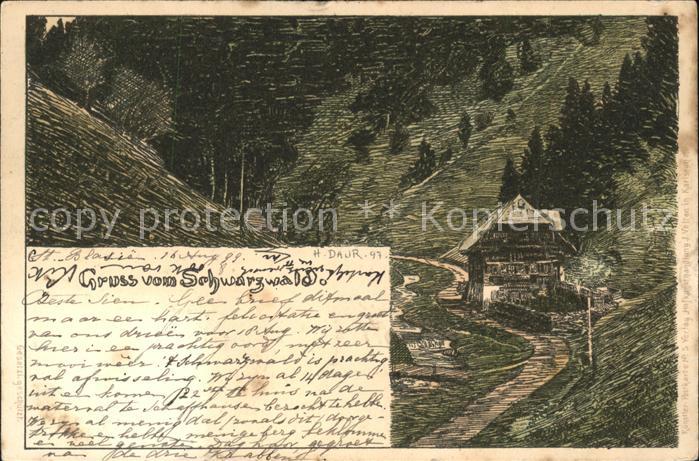 Daur Hermann Schwarzwald Nr. 5