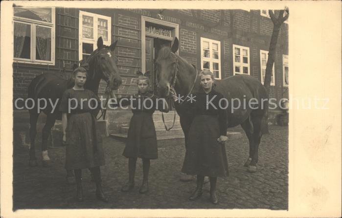 Oldenburg Holstein Pferdehof