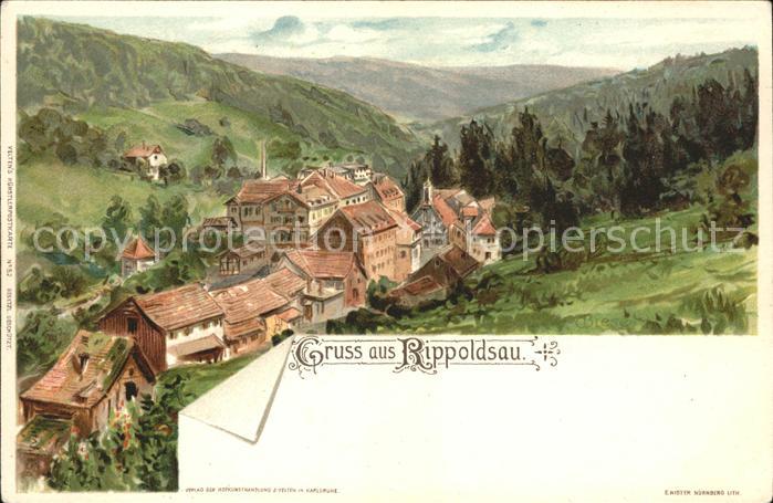 Bad Rippoldsau Schwarzwald Ortsblick Kuenstlerkarte