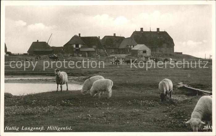 Langeness Hilligenlei