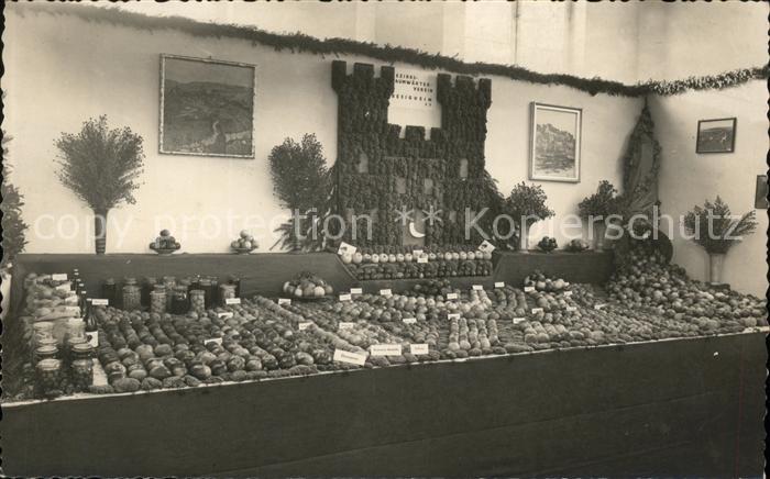 Besigheim Bezirks Baumwärter Verein Ausstellung