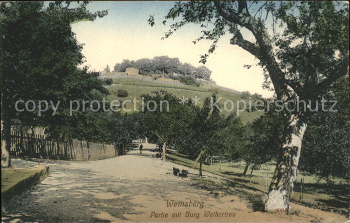 Weinsberg mit Burg Weibertreu