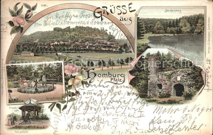 Homburg Saar Panorama Springbrunnen Friedaruhe See K