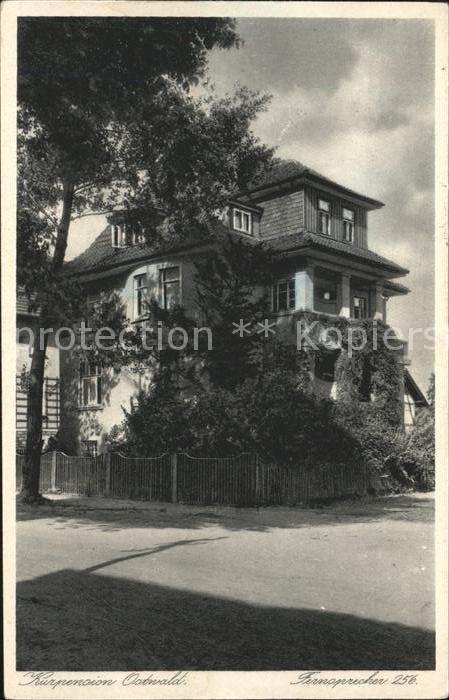 Bad Pyrmont Kurpension Ostwald