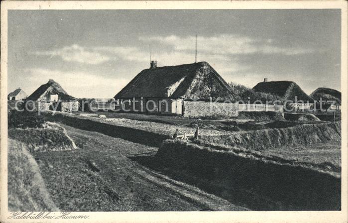 Halebuell Husum Nordsee Reetdachhäuser