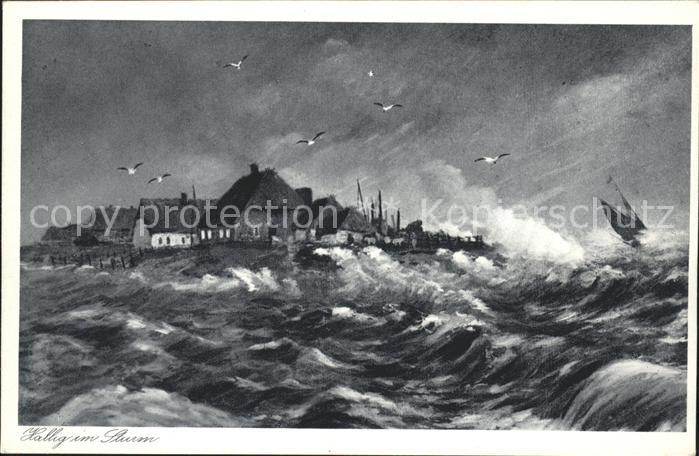 SYLT Insel Schleswig-Holstein Hallig im Sturm Kuenstlerkarte