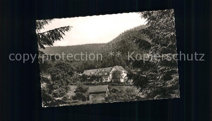 Eschental Brilon Gasthaus Pension Waldfrieden