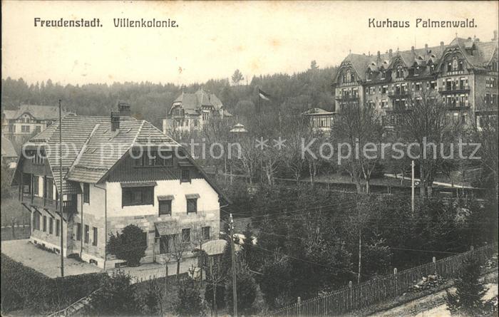 Freudenstadt Villenkolonie u.Kurhaus Palmenwald