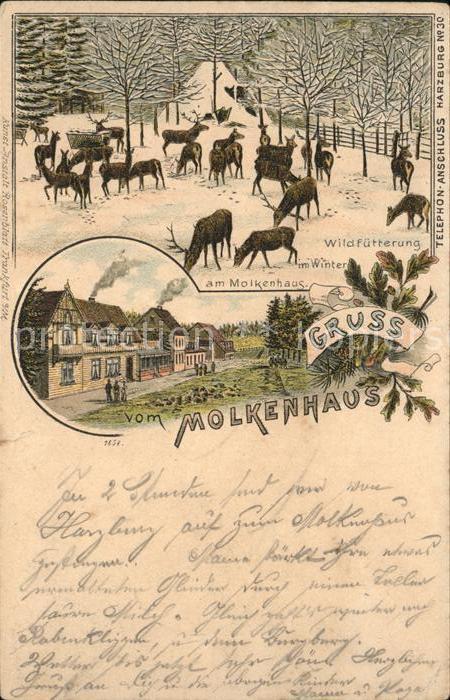 Bad Harzburg Molkenhaus