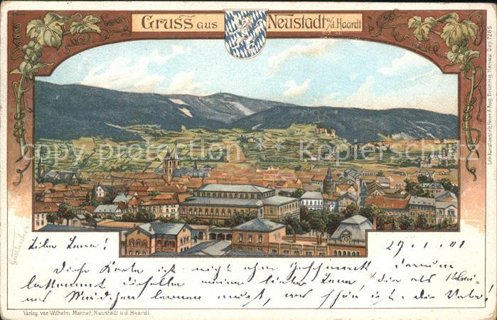 Neustadt Haardt Teilansicht