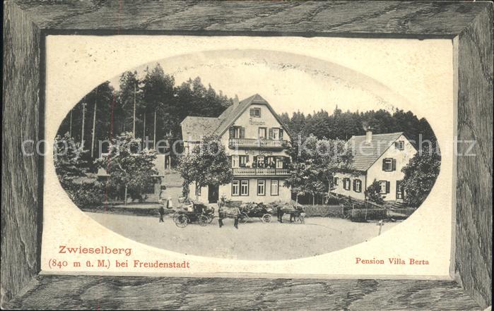 Zwieselberg Freudenstadt Pension Villa Berta mit Pferdekutschen
