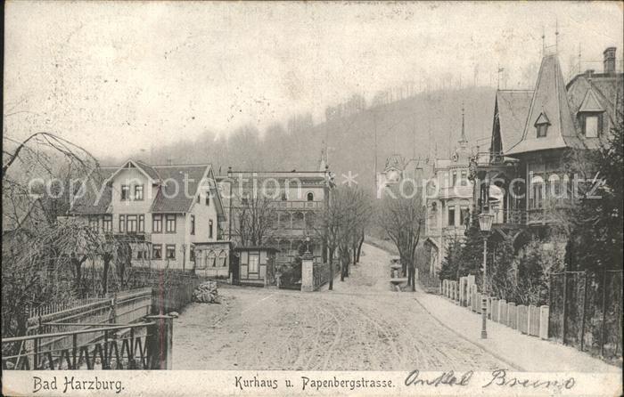 Bad Harzburg Kurhaus u.Papenbergstrasse
