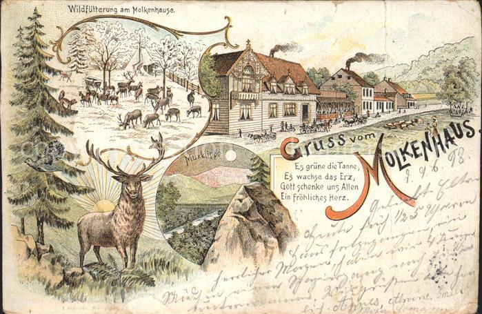 Bad Harzburg Molkenhaus