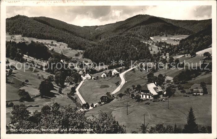 Bad Rippoldsau Schwarzwald Holzwald und Kniebisstrasse Gasthaus Pe