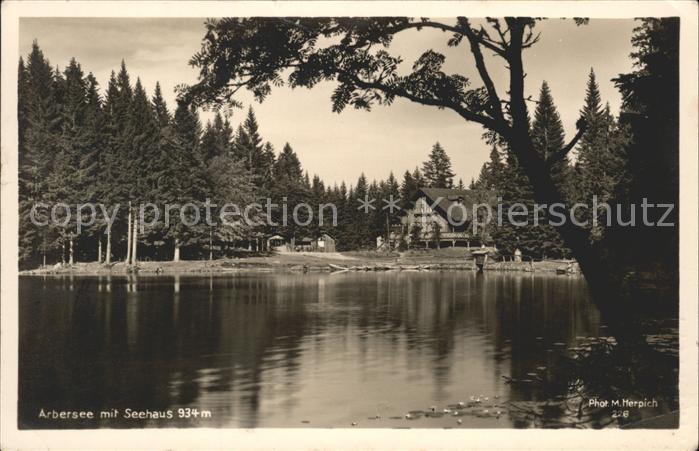 Bodenmais Restaurant Arbersee Eisenstein
