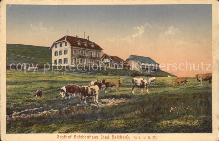 Belchen Baden Gasthof Belchenhaus Viehherde