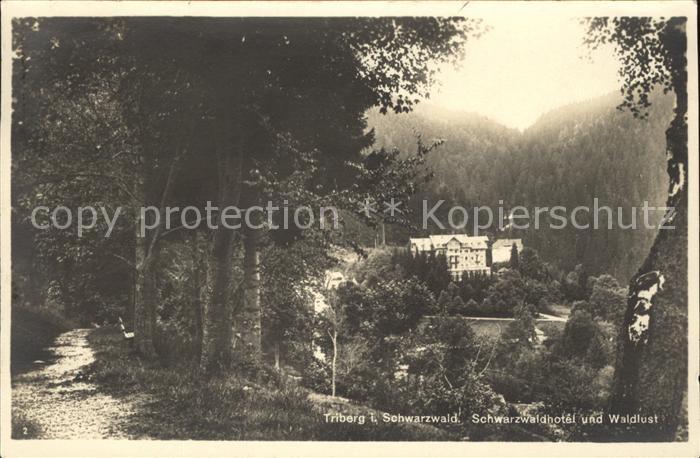 Triberg Schwarzwald Schwarzwaldhotel Waldlust