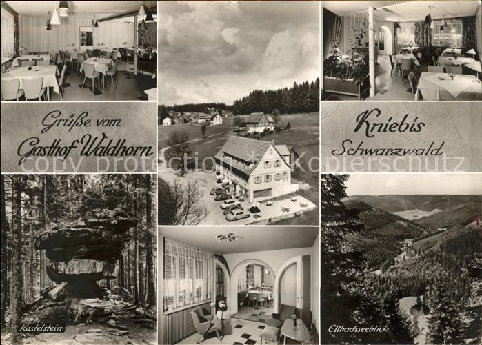 Kniebis Freudenstadt Gasthaus Pension zum Waldhorn Kastelste